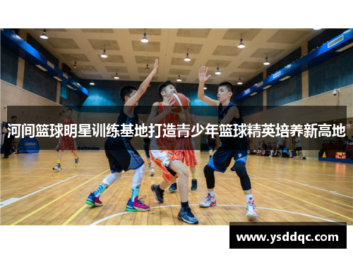 河间篮球明星训练基地打造青少年篮球精英培养新高地